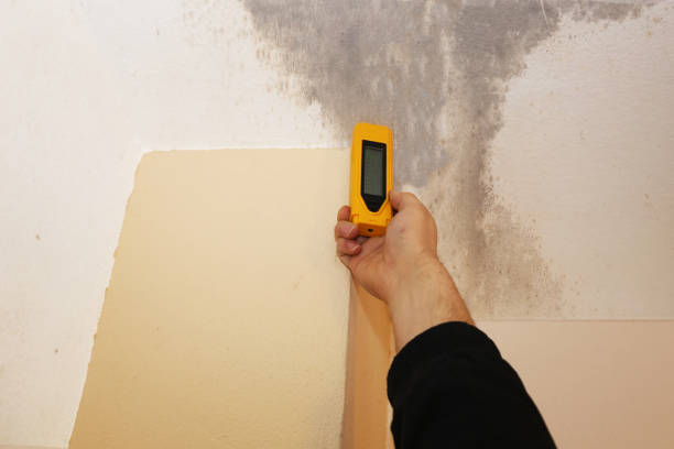 Best Asbestos and Lead Testing During Mold Inspection  in Lenox, IA