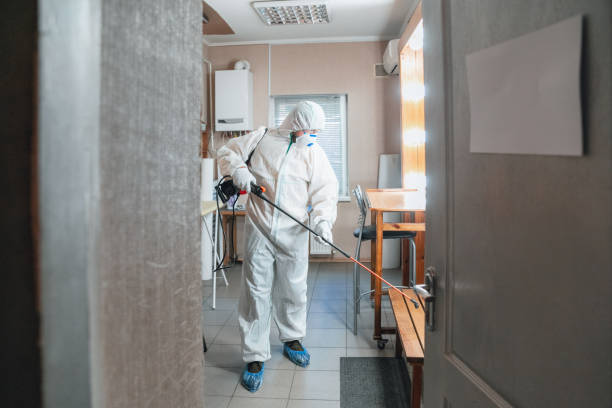 Best Mold Damage Restoration  in Lenox, IA