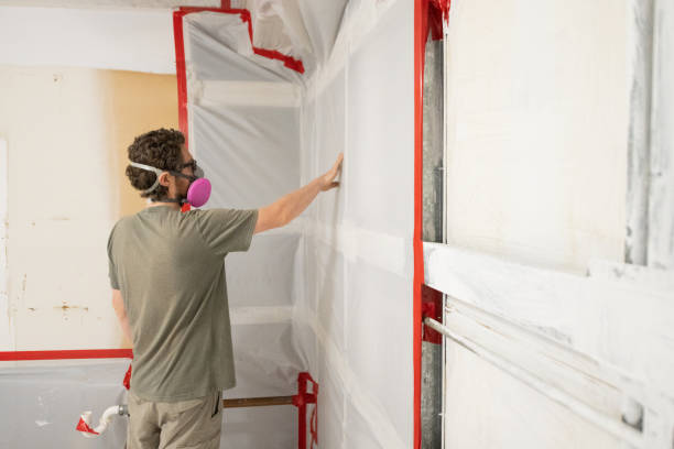 Best Post-Remediation Verification Testing  in Lenox, IA