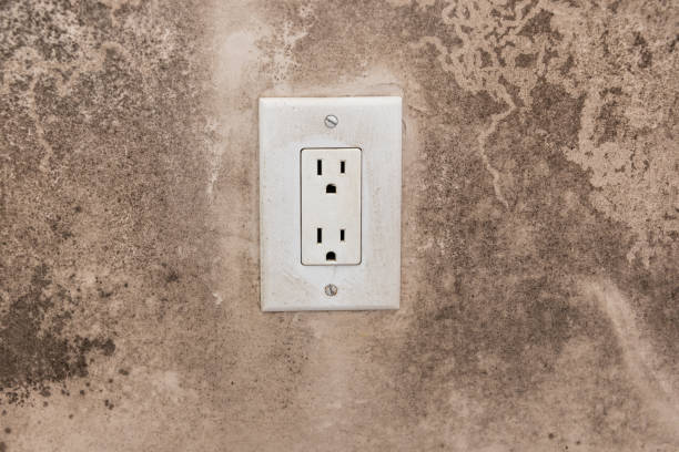 Best Mold Prevention Services  in Lenox, IA